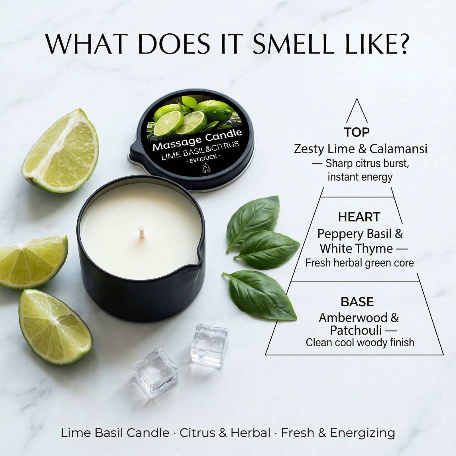 2 Pack Lime Basil & Citrus Massage Candle 2oz Soy Body Oil Couples Spa Gift