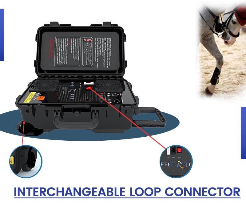 Inventions for Horse Pemf Loop Pemf Magnetic Therapy Device Horse Ankle Rehabili