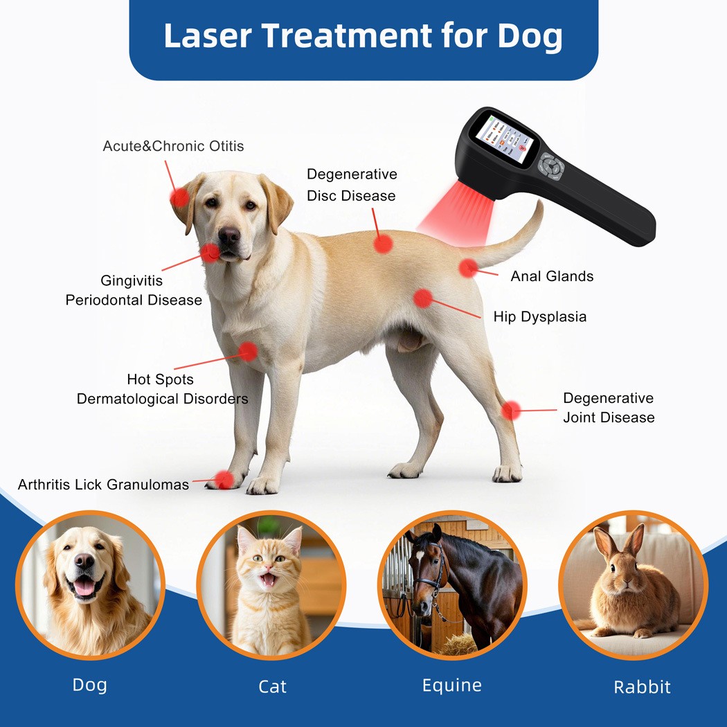 2500mW Cold Laser Therapy Body Pain Relief Device Soft Healing Lazer Humans Pets