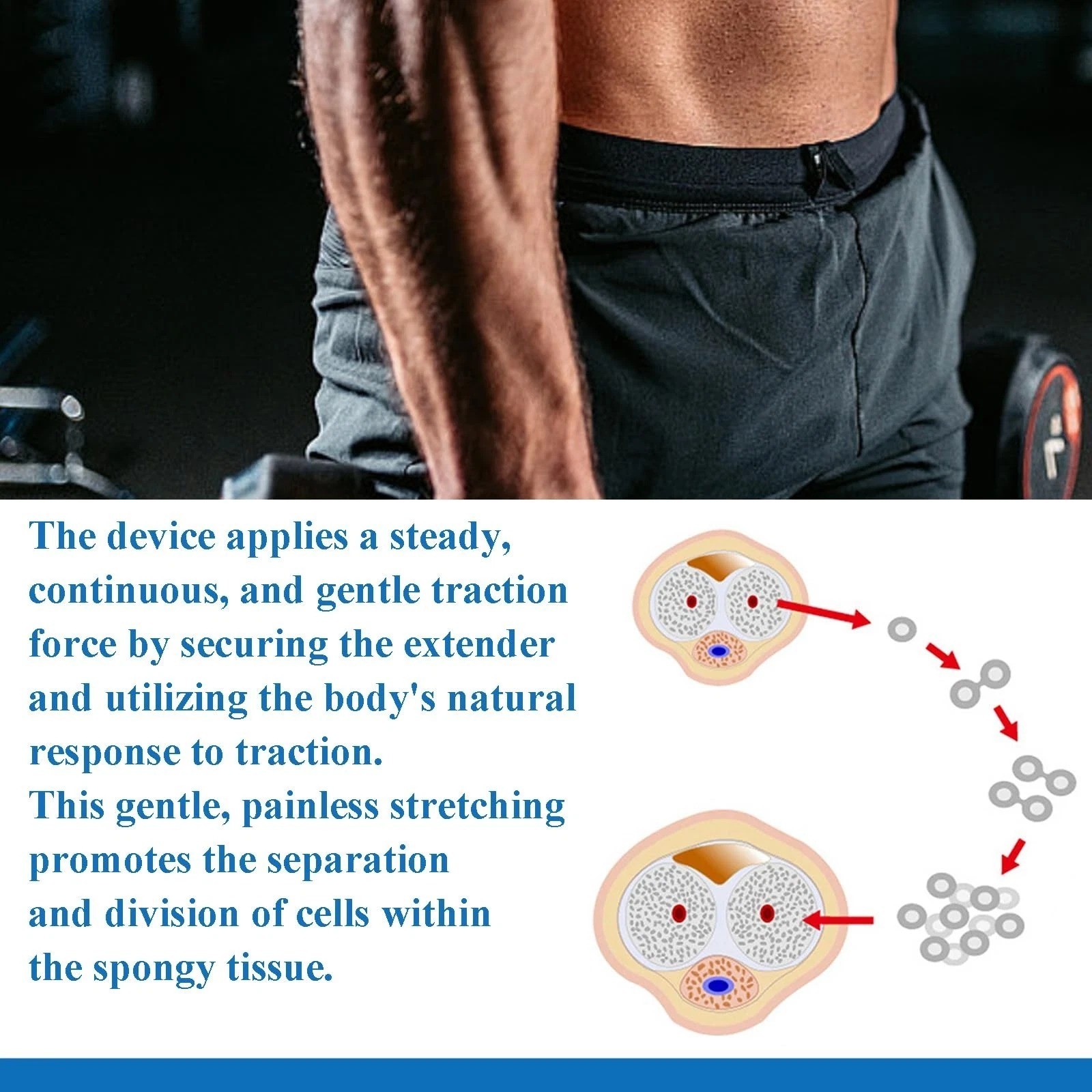 «Adjustable Male Extender Traction Device for Growth & Physical Training