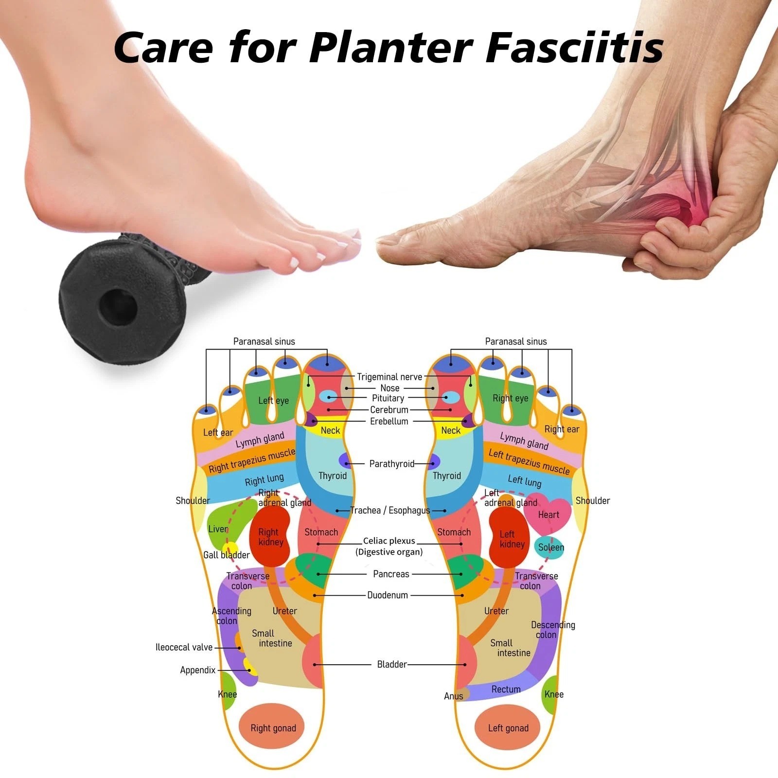 Plantar Fasciitis Relief Foot Roller Massager for Plantar Deep Tissue Muscle