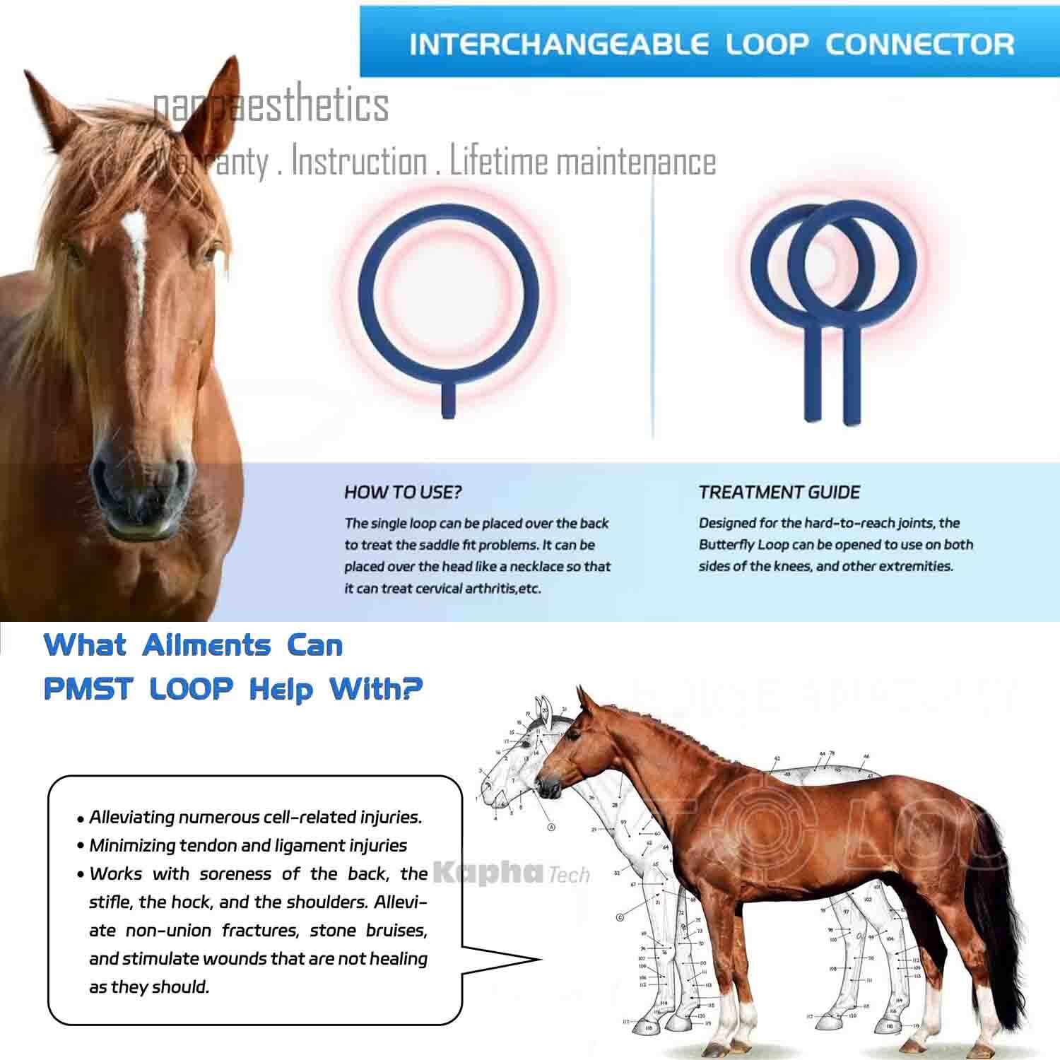 PEMF EMTT PMST LOOP Magnetic Therapy Machine for Horse Human Pain Rehabilitation