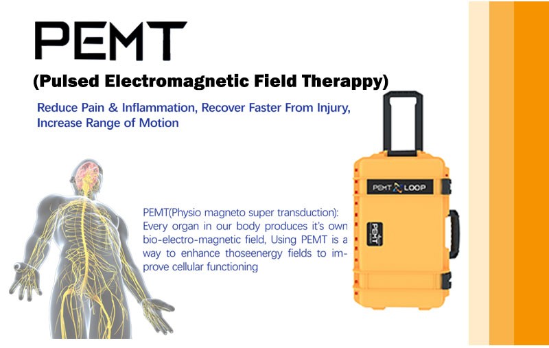 Pro Physical Therapy Rehabilitation Magnetic Pmst Loop Pemf Pain Relief Machine