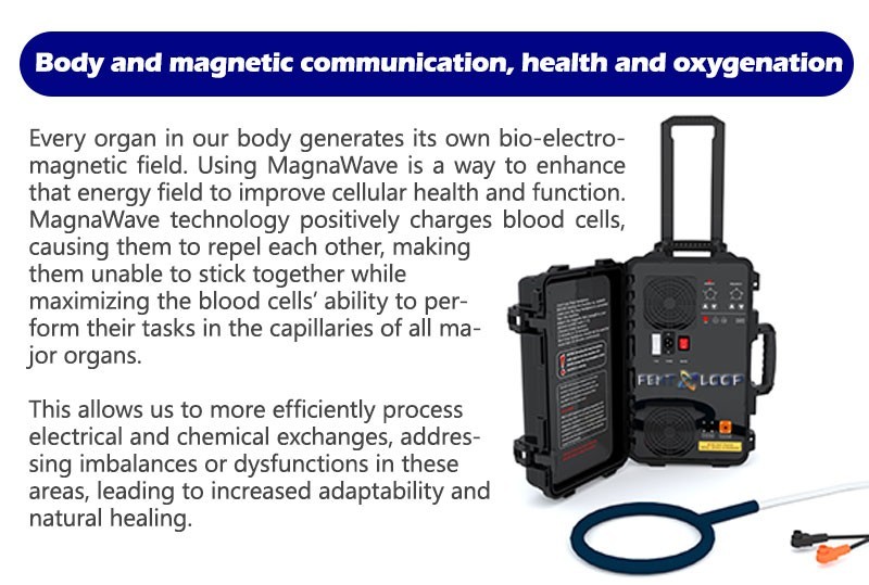PEMF Pulsed Eletromagnetic Feild Sport Injury Pain Therapy Machine PMST Loop
