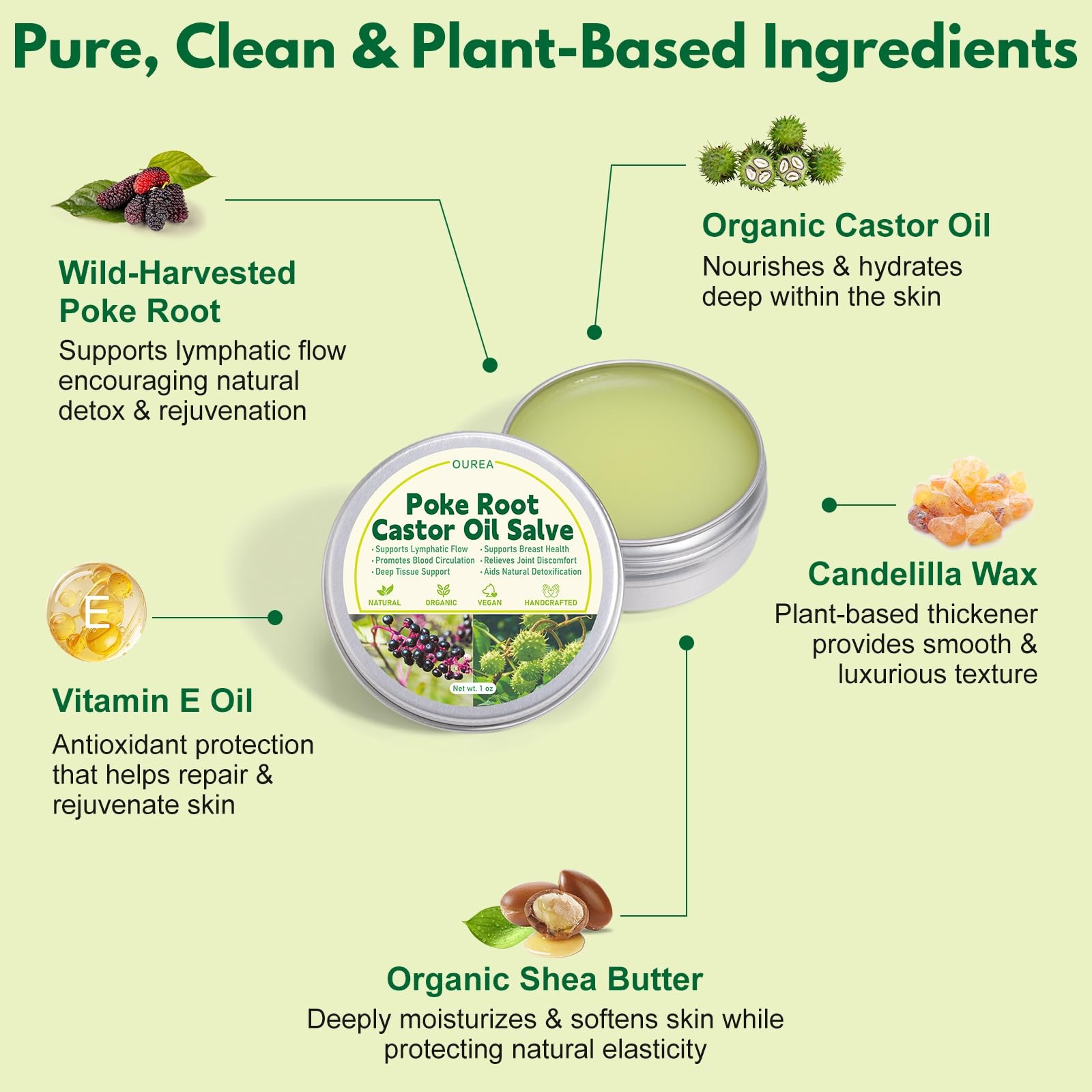 Poke Root Castor Oil Salve, Organic Lymphatic Support Massage Balm, Deep Tiss…