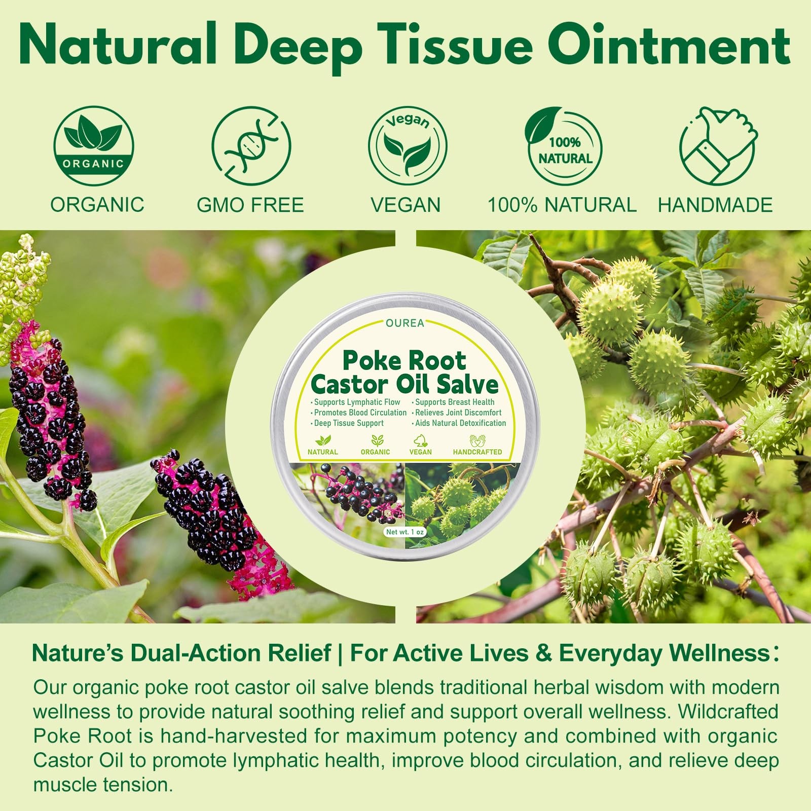 Poke Root Castor Oil Salve, Organic Lymphatic Support Massage Balm, Deep Tiss…