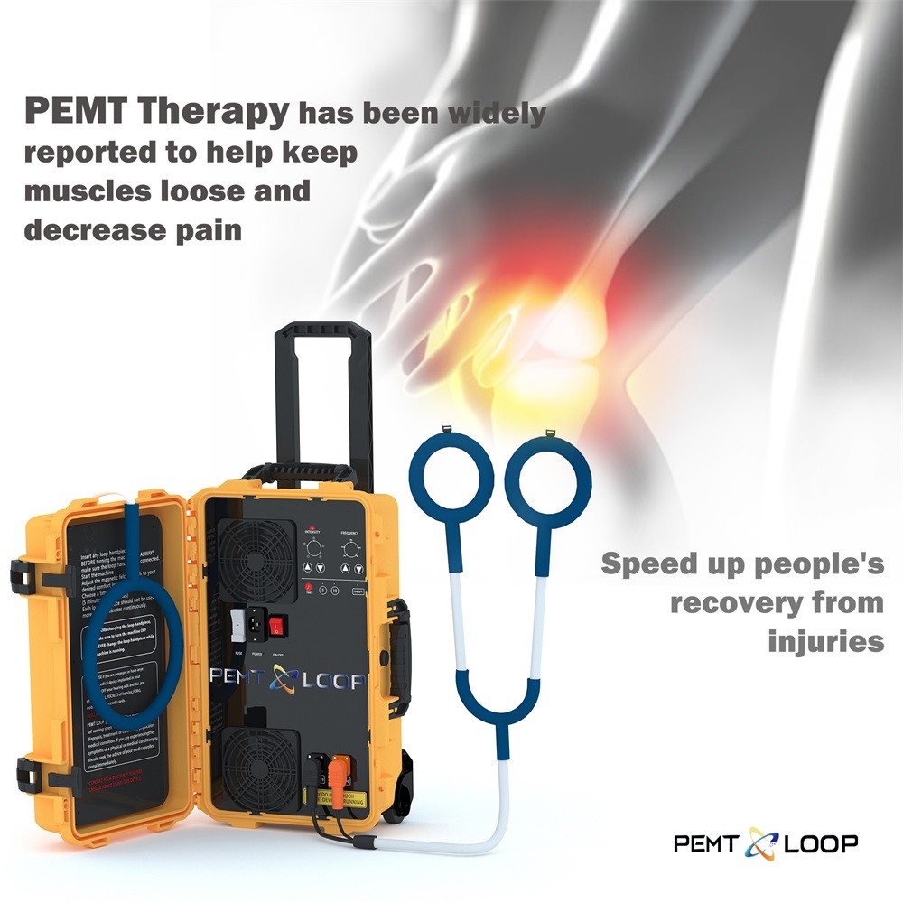 Pro PEMF Magneto Horse Health Care Equine PMST LOOP Magnetic Therapy Device