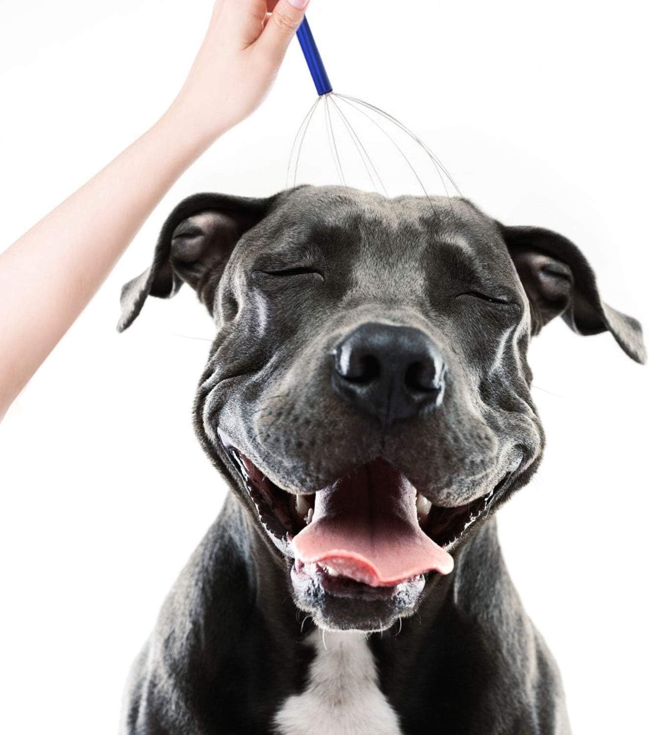 Manual Scalp Massager 4 Count Head Scratcher Stress Relief Gifts for Everyone